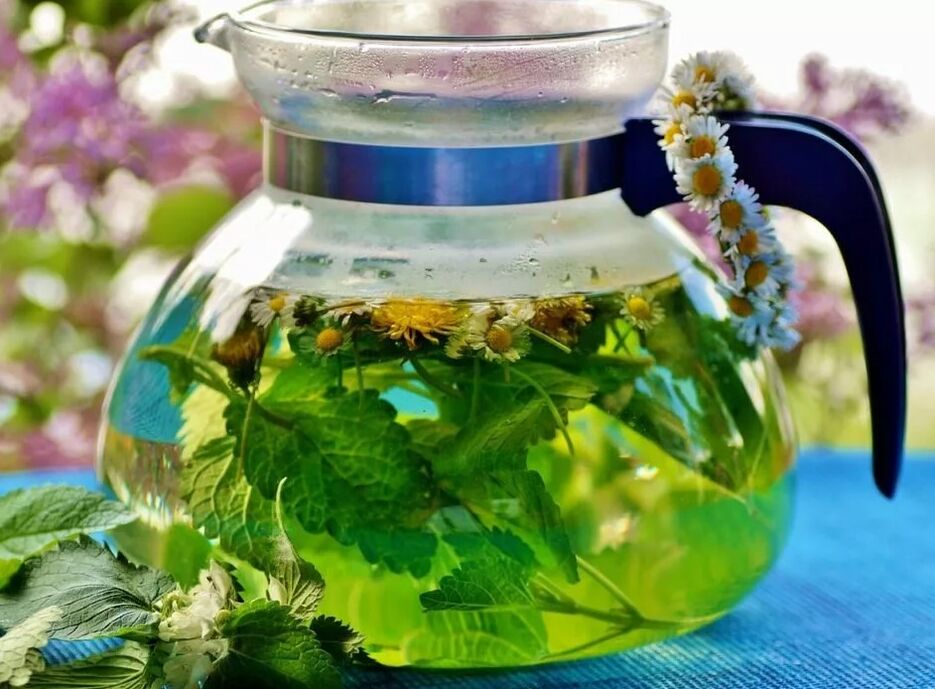 Infusion of the collection of herbs in varicose veins